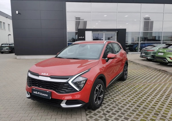 Kia Sportage cena 126500 przebieg: 8312, rok produkcji 2023 z Polkowice małe 79